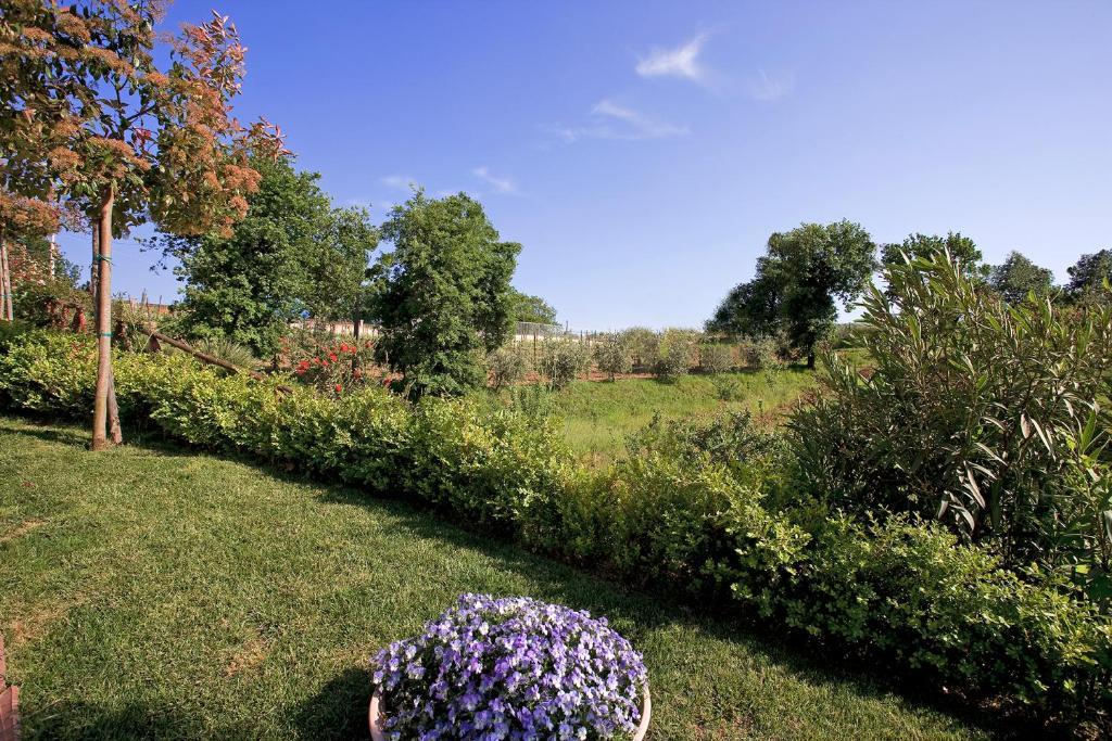 Tenuta D'Amore San Mango Piemonte Buitenkant foto