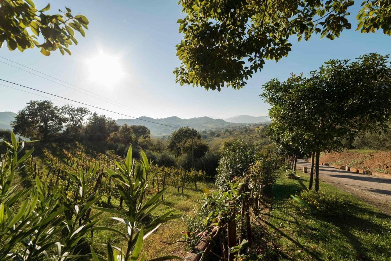Tenuta D'Amore San Mango Piemonte Buitenkant foto