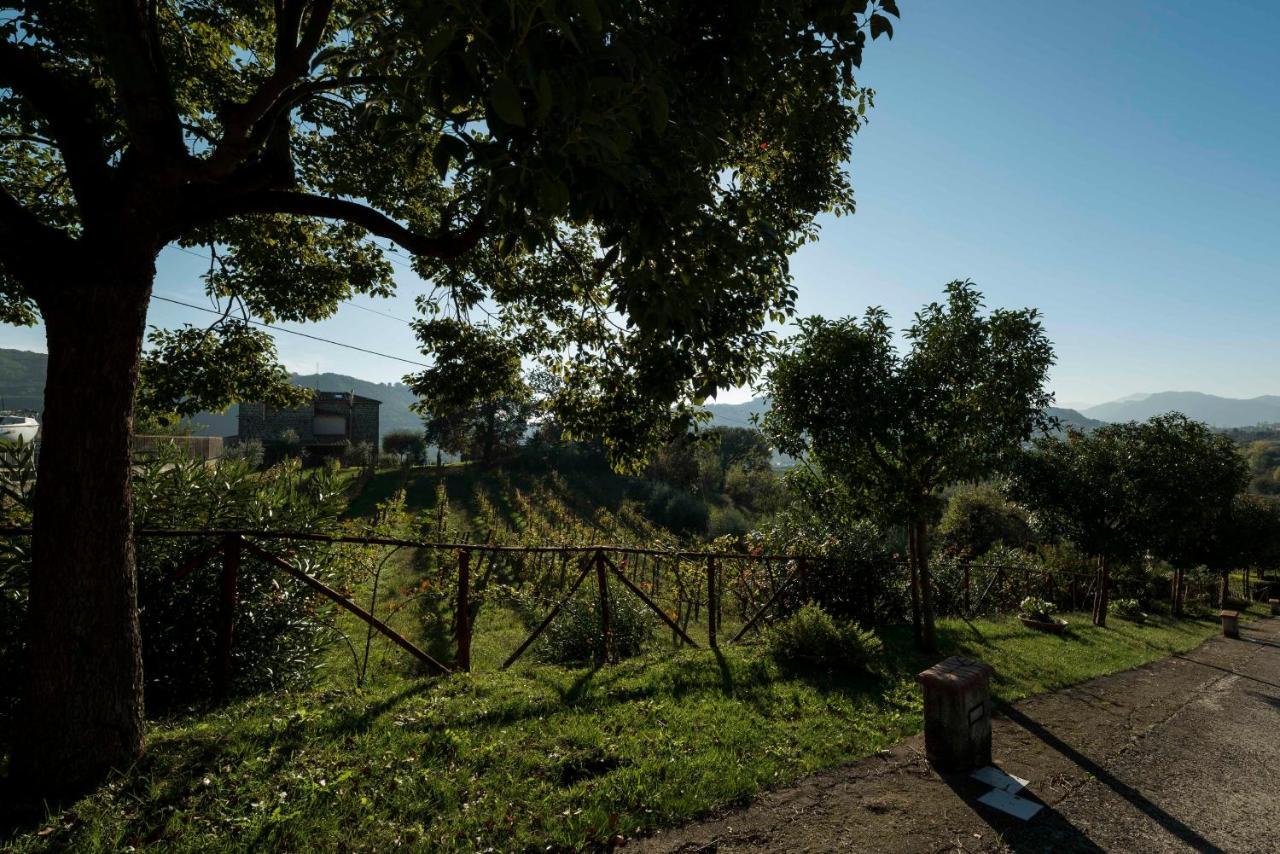 Tenuta D'Amore San Mango Piemonte Buitenkant foto