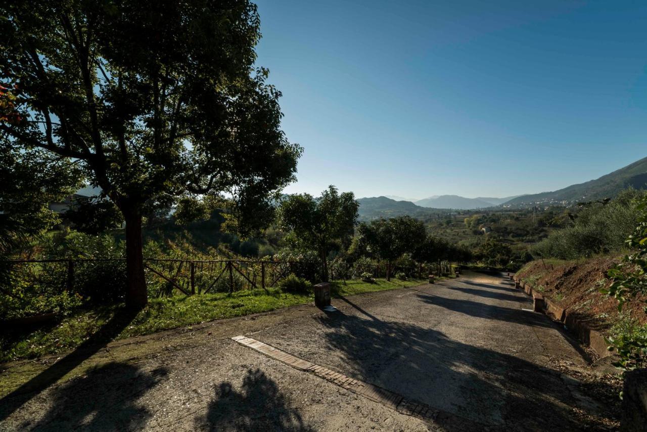Tenuta D'Amore San Mango Piemonte Buitenkant foto